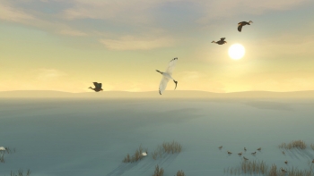 Storm Boy - The Game Screenshot