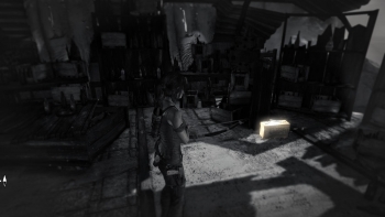 Tomb Raider Screenshot