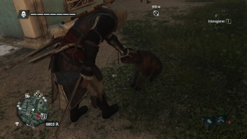 Assassin's Creed 4 Screenshot