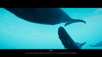 Beyond Blue Screenshot Beyond Blue Screenshot