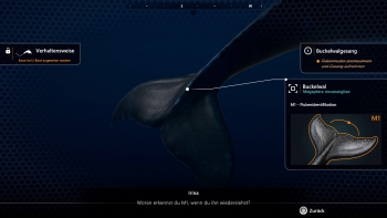 Beyond Blue Screenshot