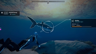 Die 3D-Grafik ist durchschnittlich, die Unterwasserabschnitte sind aber nett visualisiert. Die 3D-Grafik ist durchschnittlich, die Unterwasserabschnitte sind aber nett visualisiert.