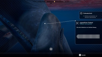 Beyond Blue Screenshot Beyond Blue Screenshot