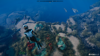 Wir erkunden die Tiefen des Meeres