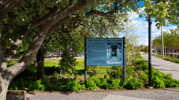 Carol Reed 18 Screenshot