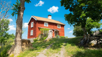 Carol Reed 18 Screenshot