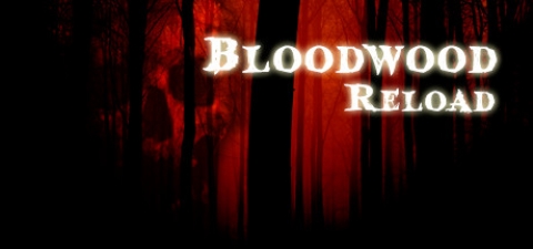 Covergrafik von Bloodwood Reload