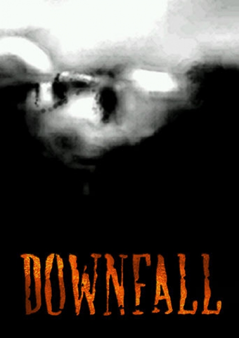 Covergrafik von Downfall