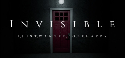 Covergrafik von Invisible