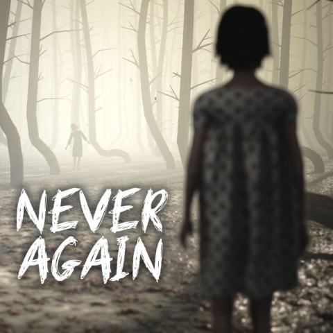 Covergrafik von Never Again
