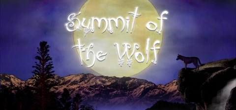 Covergrafik von Summit of the Wolf