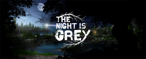 Covergrafik von The Night is Grey