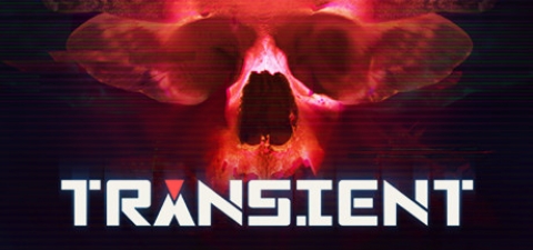 Covergrafik von Transient