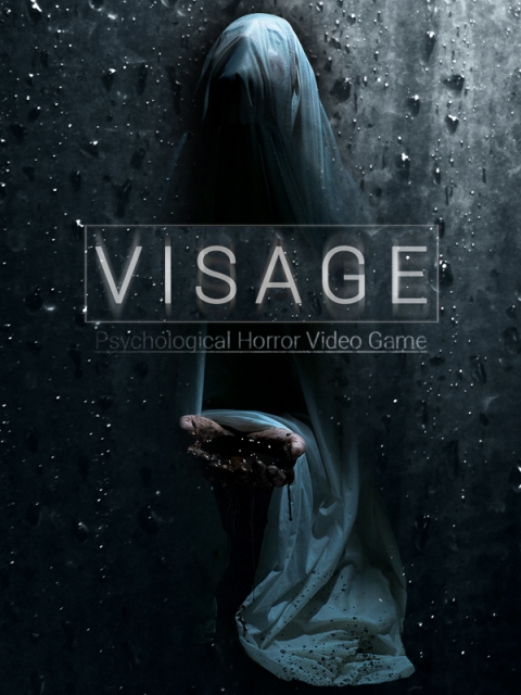 Covergrafik von Visage