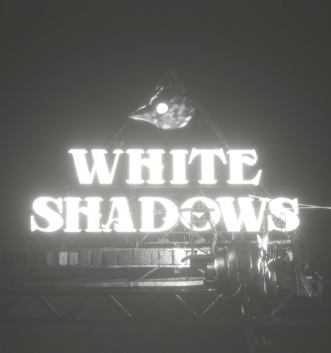 Covergrafik von White Shadows