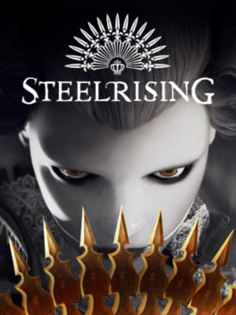 Covergrafik von SteelRising