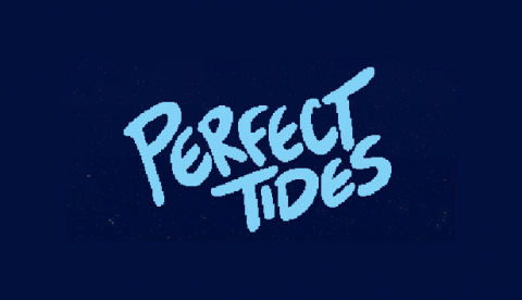 Covergrafik von Perfect Tides