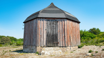 Carol Reed 19 Screenshot