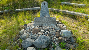 Carol Reed 19 Screenshot