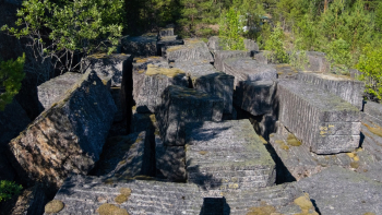 Carol Reed 19 Screenshot