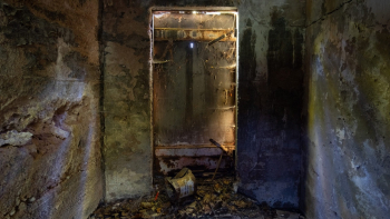 Carol Reed 19 Screenshot