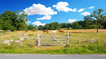 Carol Reed 19 Screenshot