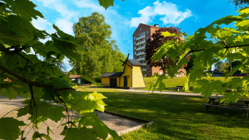 Carol Reed 19 Screenshot