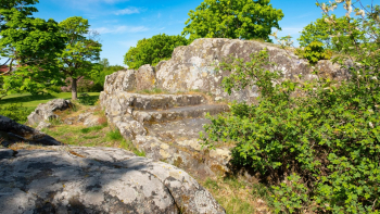 Carol Reed 19 Screenshot