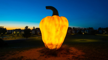 Carol Reed 19 Screenshot