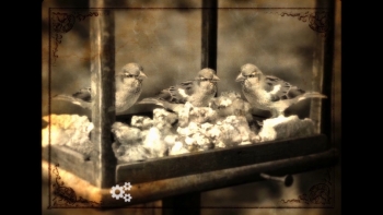 Lammana: The Looe Island Mystery Screenshot