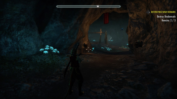 The Elder Scrolls Online: Blackwood Screenshot