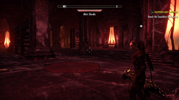 The Elder Scrolls Online: Blackwood Screenshot