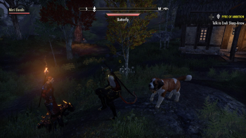 The Elder Scrolls Online: Blackwood Screenshot