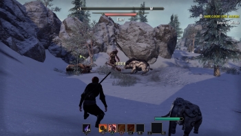 The Elder Scrolls Online: Greymoor Screenshot