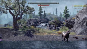 The Elder Scrolls Online: Greymoor Screenshot