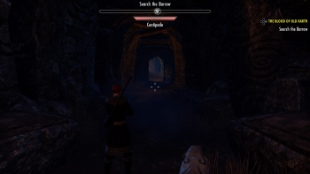 The Elder Scrolls Online: Greymoor Screenshot