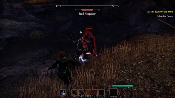 The Elder Scrolls Online: Greymoor Screenshot