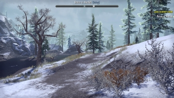 The Elder Scrolls Online: Greymoor Screenshot