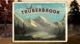 Trüberbrook