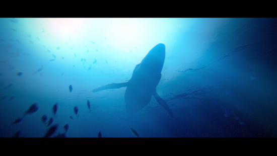 Teaserbild für gc2022: Quantic Dream kündigt Under the Waves an Teaserbild für gc2022: Quantic Dream kündigt Under the Waves an