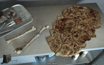 Alpha Polaris Screenshot