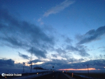 Alt-Minds Screenshot