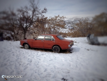 Alt-Minds Screenshot