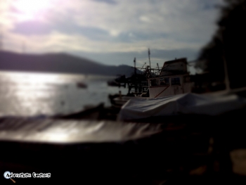 Alt-Minds Screenshot