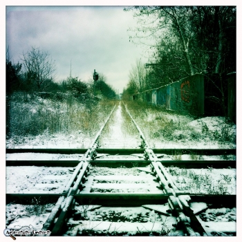 Alt-Minds Screenshot