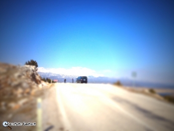 Alt-Minds Screenshot