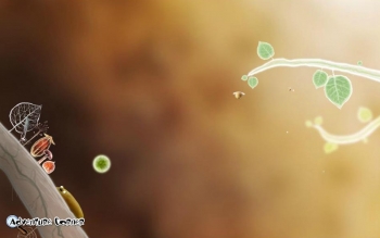 Botanicula Screenshot Botanicula Screenshot
