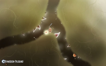 Botanicula Screenshot Botanicula Screenshot
