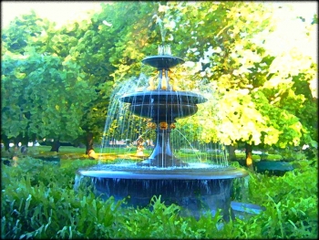 Carol Reed 1 Screenshot