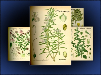 Carol Reed 1 Screenshot